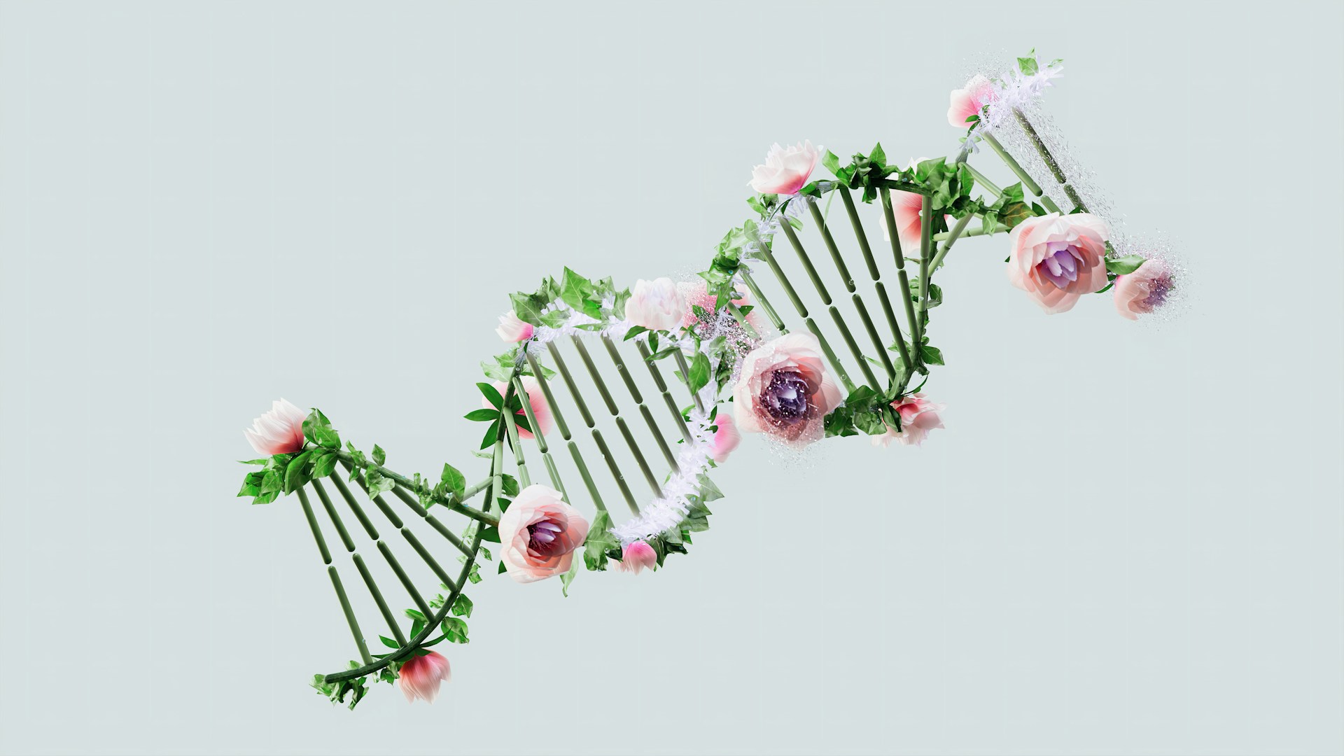 シータヒーリング　基礎DNA